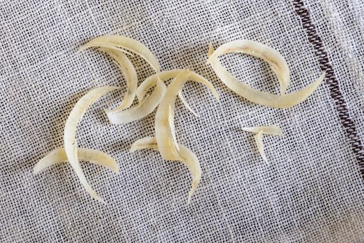 Macro of cut nails on a fabric handkerchief