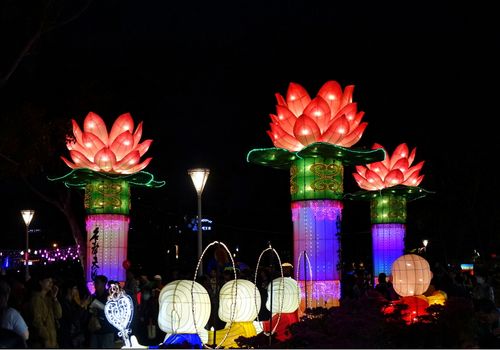 KAOHSIUNG, TAIWAN -- FEBRUARY 9, 2019: Large lanterns in the shape of the Buddhist symbol of the lotus flower are on display at the Lantern Festival.