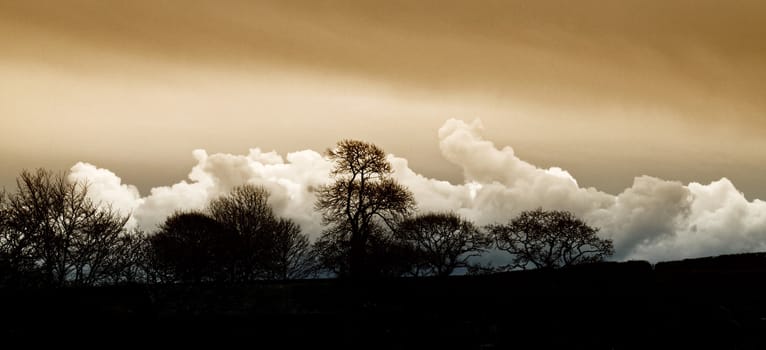 Sky, beautiful and dramatic in all weathers.