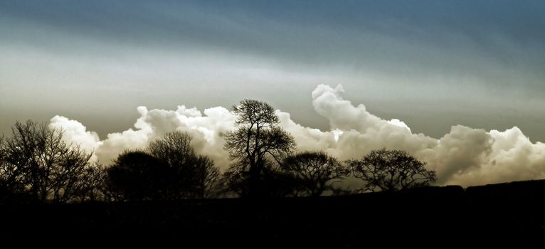 Sky, beautiful and dramatic in all weathers.