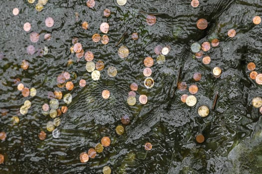 Coins thrown in fountain water in hope to return