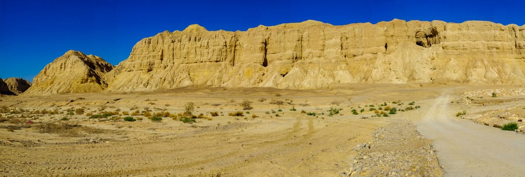 Panoramic landscape and Marlstone rock formation, near Neot HaKikar, northern Arava valley, south of the Dead Sea, Southern Israel