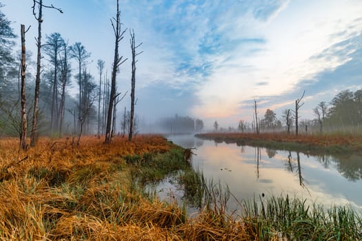 Foggy sunrise over the lake in Mazury region, Poland in impressionism style