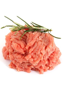 Raw minced meat with rosemary