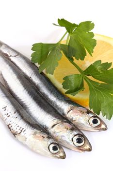 Anchovies with parsley and lemon on white background