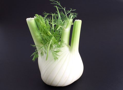 Raw fennel