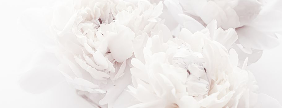 Pure white peony flowers as floral art background, wedding decor and luxury branding design