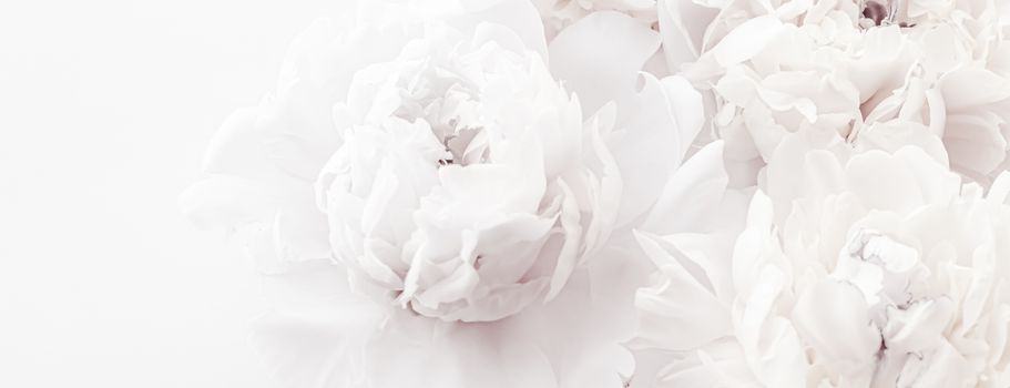 Pure white peony flowers as floral art background, wedding decor and luxury branding design