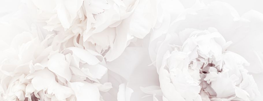 Pure white peony flowers as floral art background, wedding decor and luxury branding design