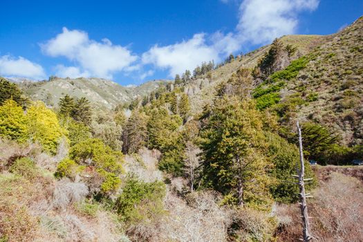 A view out to sea on a sunny winter's day along Big Sur coastline in California, USA