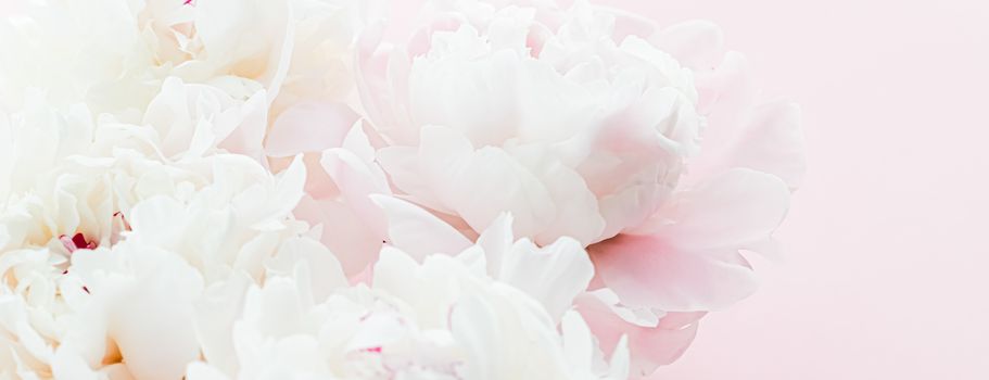 White peony flowers as floral art on pink background, wedding flatlay and luxury branding design