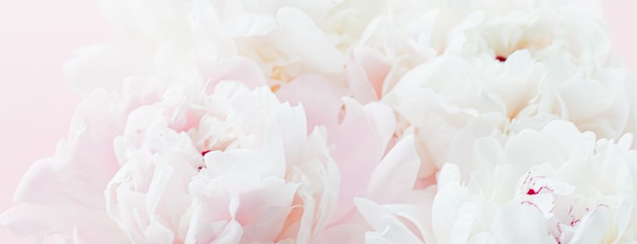 White peony flowers as floral art on pink background, wedding flatlay and luxury branding design