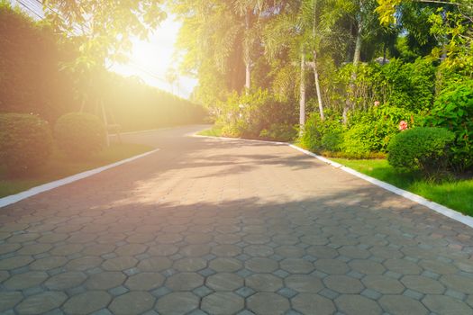 New pathway with green lawns, garden and beautiful trees track for running or walking and cycling relax in the park, Luxury village Sunlight and flare background concept.