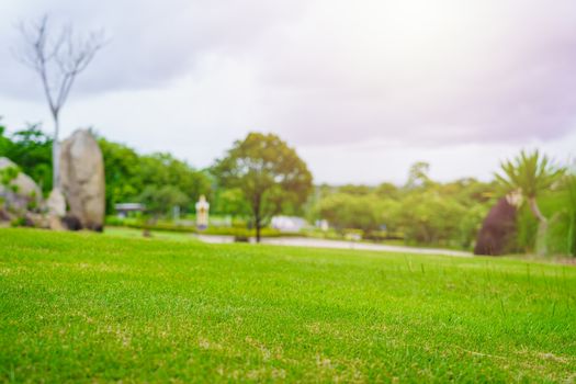 Focus nature green grass in golf court garden blur park on Sky, stone, palm tree background. Low angle shot style. Sunlight and flare background concept.