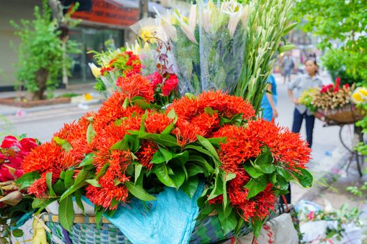 Flower market on bicycle on the road local market in HANOI VIETNAM VOVworld. to consist of Lilly, White rose, spike flower, Marigold