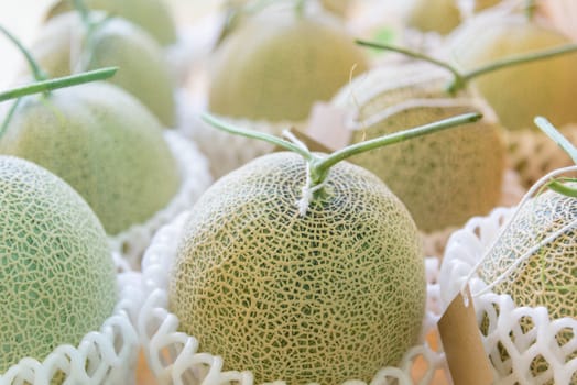 Close up to Fresh melon on table
