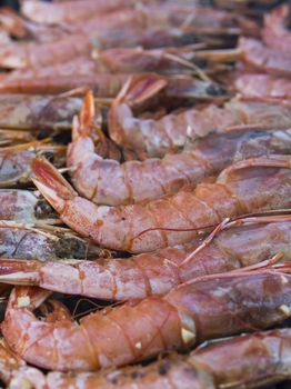 Cooking fresh king's shrimp on a grill on a foodfest