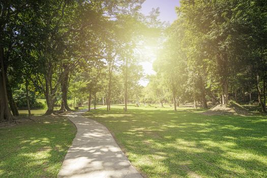 New pathway and beautiful trees track for running or walking and cycling relax in the park on green grass field on the side of the golf course. Sunlight and flare background concept.