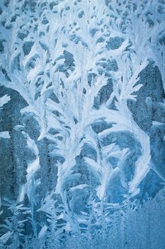 Frosty natural pattern on winter window