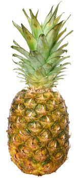 Ripe pineapple close up on a white background.