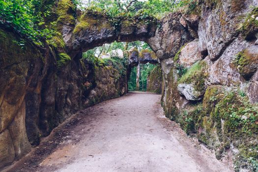 Garden of the Regaleira Palace (Quinta da Regaleira), Sintra, Portugal. Romantic garden at Quinta da Regaleira, Sintra.