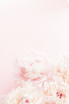 Peony flowers in bloom as floral art on pink background, wedding flatlay and luxury branding design