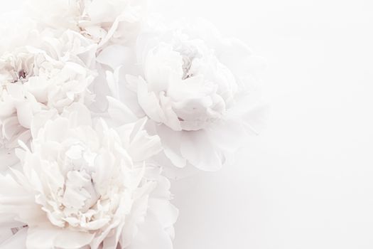 Pure white peony flowers as floral art background, wedding decor and luxury branding design