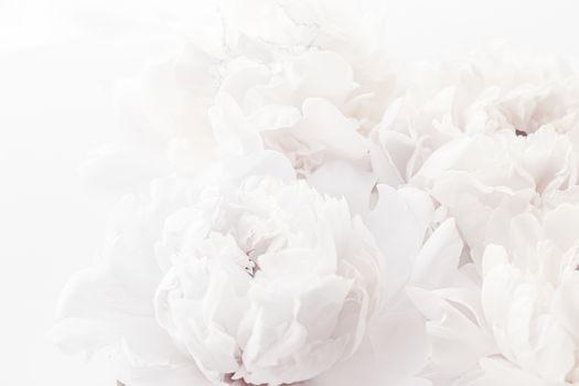 Pure white peony flowers as floral art background, wedding decor and luxury branding design