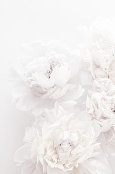 Pure white peony flowers as floral art background, wedding decor and luxury branding design