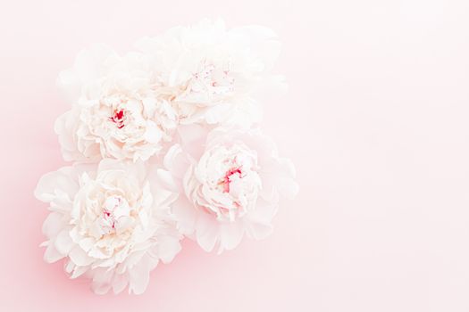 Peony flowers in bloom as floral art on pink background, wedding flatlay and luxury branding design