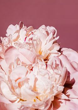 Peony flowers as luxury floral background, wedding decoration and event branding design