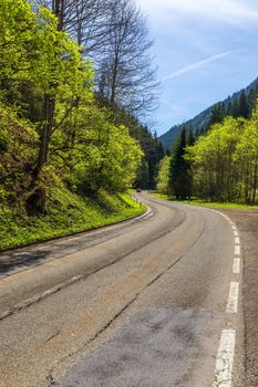 Asphalt road in Austria through the forest, valley in Austria in a beautiful summer day. Alps mountains tranquil summer view (Austria)