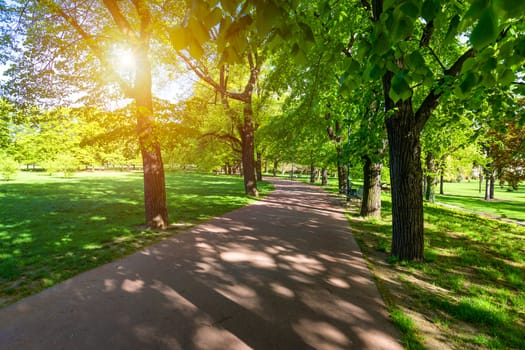 Spring view in Letna Park, Prague, Czech Republic. Spring in Prague (Praha), beautiful Letna park (Letenske sady) in sunlight, sunny landscape, popular tourist destination, Prague, Czech Republic