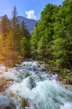 Beautiful colorful summer landscape with a stream and forest. The river in summer forest and the sun shining through the foliage. Summer nature landscape. Bohinj, Slovenia