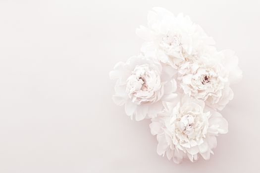 Pastel peony flowers in bloom as floral art background, wedding decor and luxury branding design