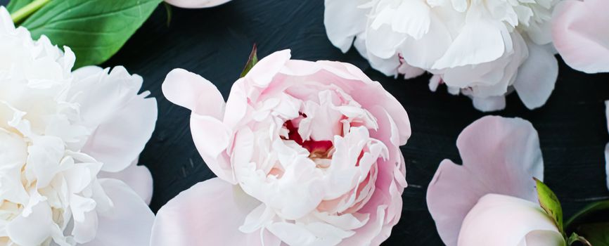 Blooming peony flowers as floral art background, botanical flatlay and luxury branding design