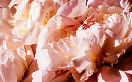 Peony flowers as luxury floral background, wedding decoration and event branding design