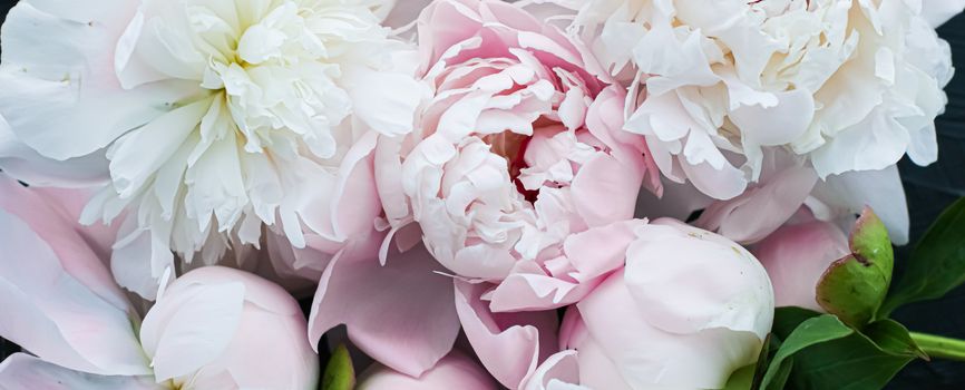 Blooming peony flowers as floral art background, botanical flatlay and luxury branding design