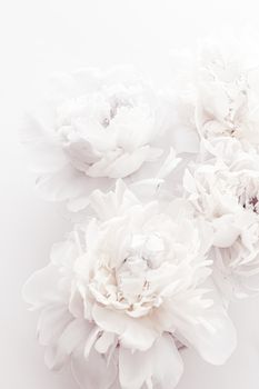 Pure white peony flowers as floral art background, wedding decor and luxury branding design