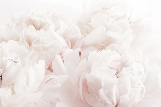 Pastel peony flowers in bloom as floral art background, wedding decor and luxury branding design