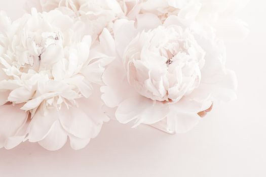 Pastel peony flowers in bloom as floral art background, wedding decor and luxury branding design