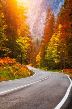 View of winding road. Asphalt roads in the Italian Alps in South Tyrol, during autumn season. Autumn scene with curved road and yellow larches from both sides in alp forest. Dolomite Alps. Italy