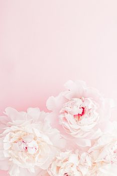 Peony flowers in bloom as floral art on pink background, wedding flatlay and luxury branding design