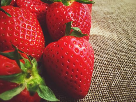 Organic strawberries on rustic linen background, fruit farming and agriculture