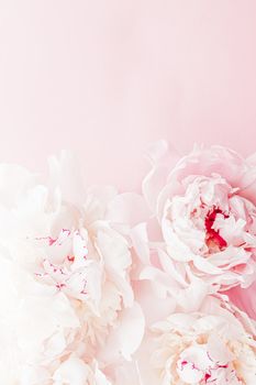 Peony flowers in bloom as floral art on pink background, wedding flatlay and luxury branding design