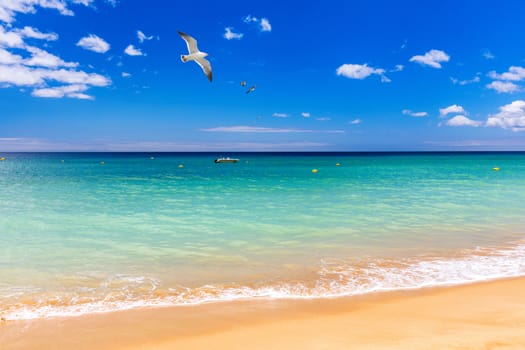 Soft wave of blue ocean on sandy tropical beach. Background of tropical paradise beach with golden sand, travel tourism panorama background concept. Sand and sea waves background.