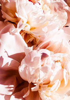Peony flowers as luxury floral background, wedding decoration and event branding design