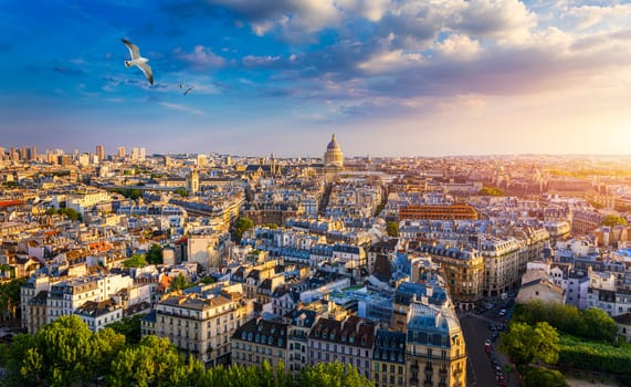 Paris, France, Seine river cityscape in summer colors with birds flying over the city. Paris city aerial panoramic view. Paris is the capital and most populous city of France. Postcard of Paris.