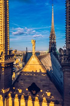 Notre Dame de Paris cathedral, France. Notre Dame de Paris Cathedral, most beautiful Cathedral in Paris. Picturesque sunset over Cathedral of Notre Dame de Paris, destroyed in a fire in 2019, Paris.