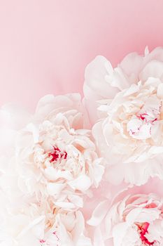 Peony flowers in bloom as floral art on pink background, wedding flatlay and luxury branding design